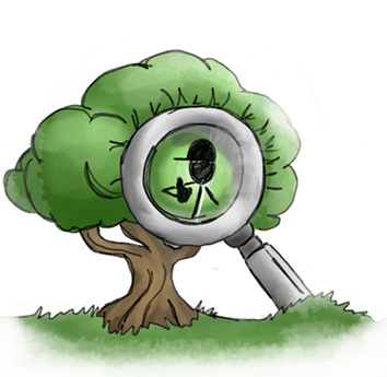 Zertifizierter Baumkontrolleur